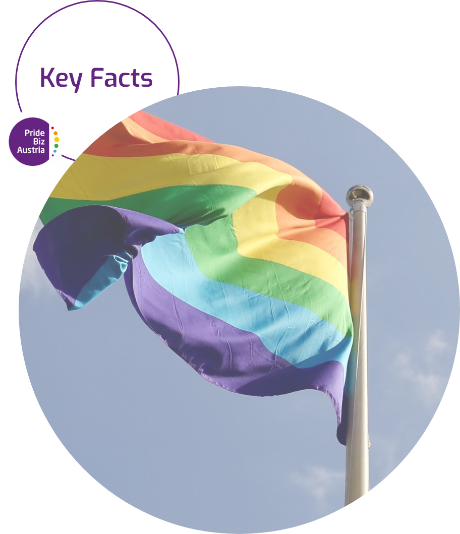 PrideBiz_KeyFacts-Designelement_1